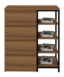 cabinet mp 4573